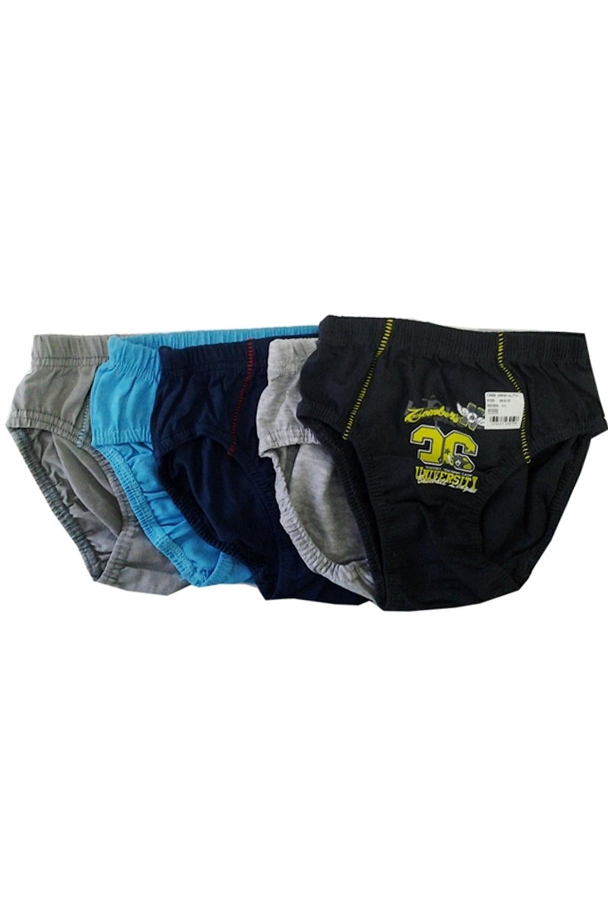 Boy's Patterned Multi-color Panties- 10 Pieces